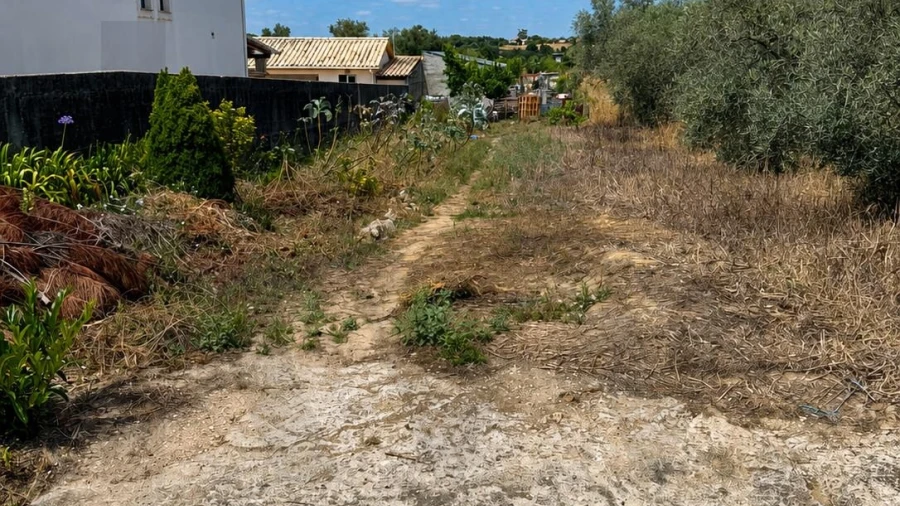Terreno para Venda em Santa Clara e Castelo Viegas