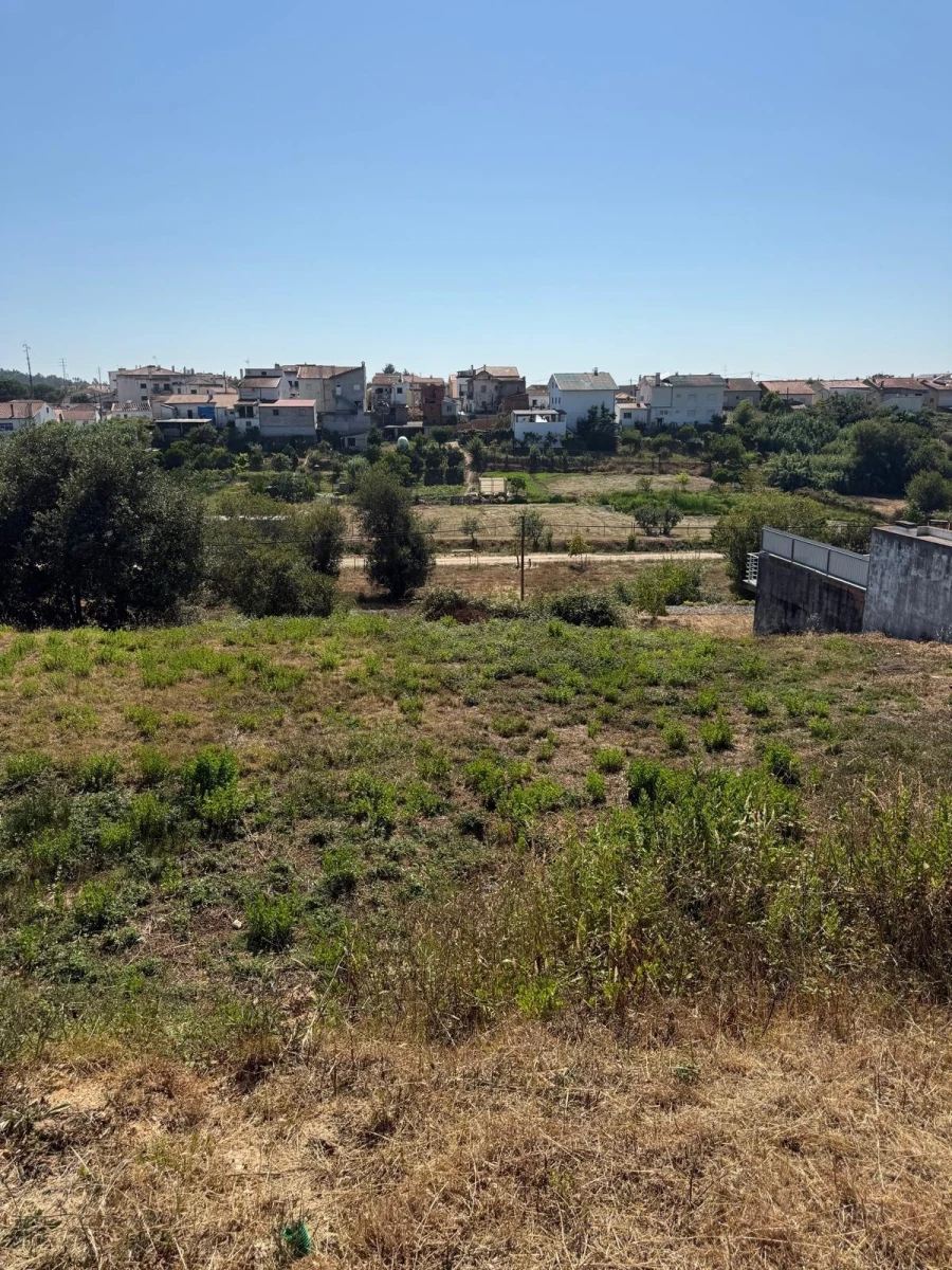 Terreno para Venda em Granja do Ulmeiro Foto 4