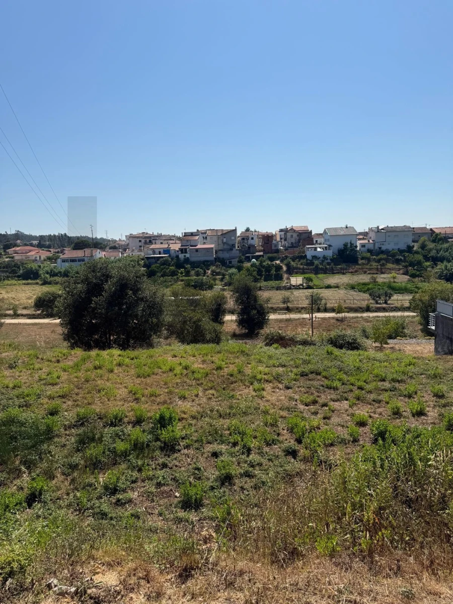 Terreno para Venda em Granja do Ulmeiro Foto 3