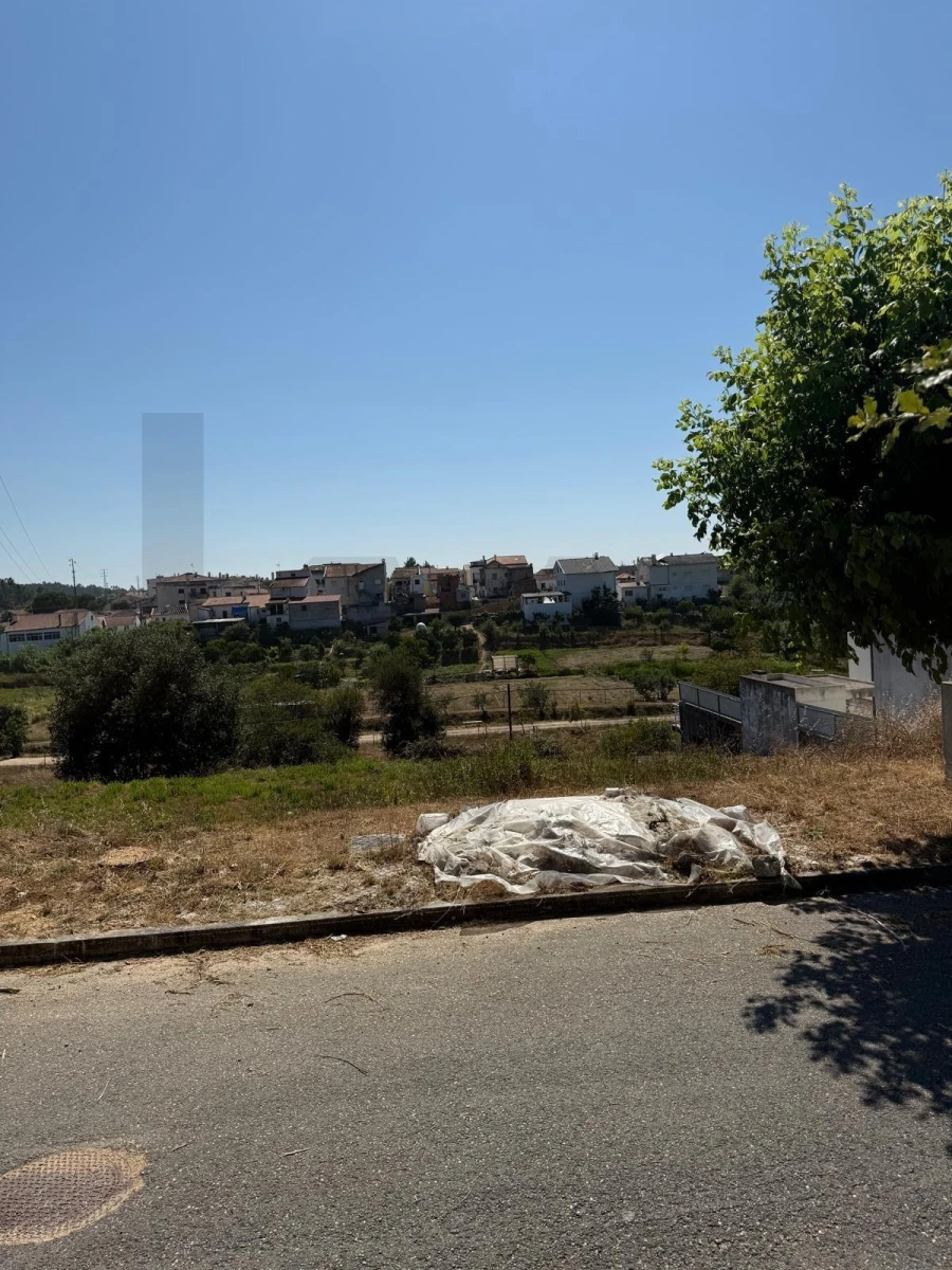 Terreno para Venda em Granja do Ulmeiro Foto 5