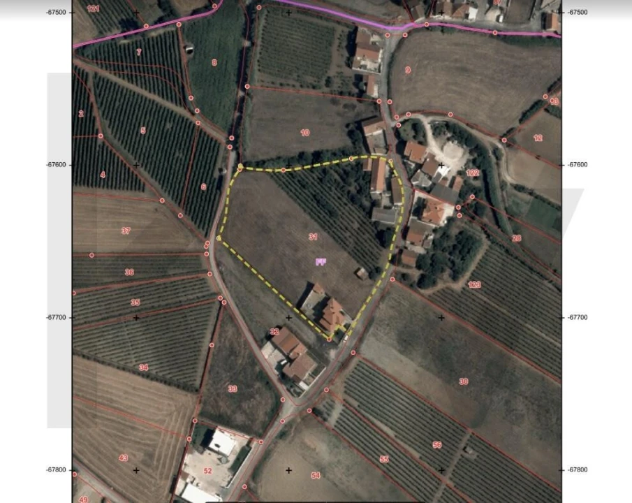 Terreno para Venda em Freiria Foto 3