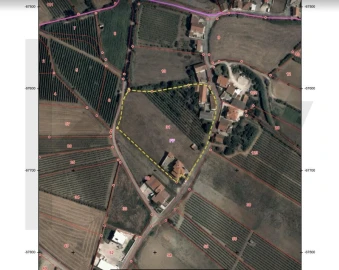 Terreno para Venda em Freiria