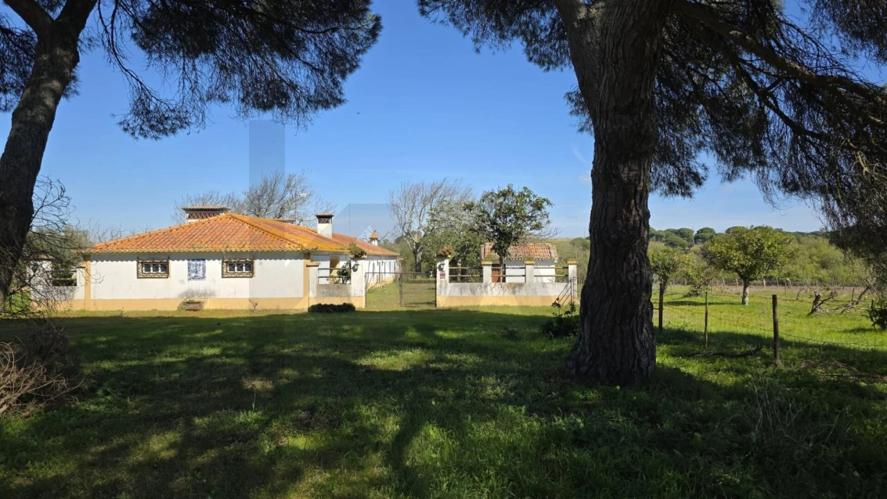 Quinta T4 para Venda em Benavente Foto 36
