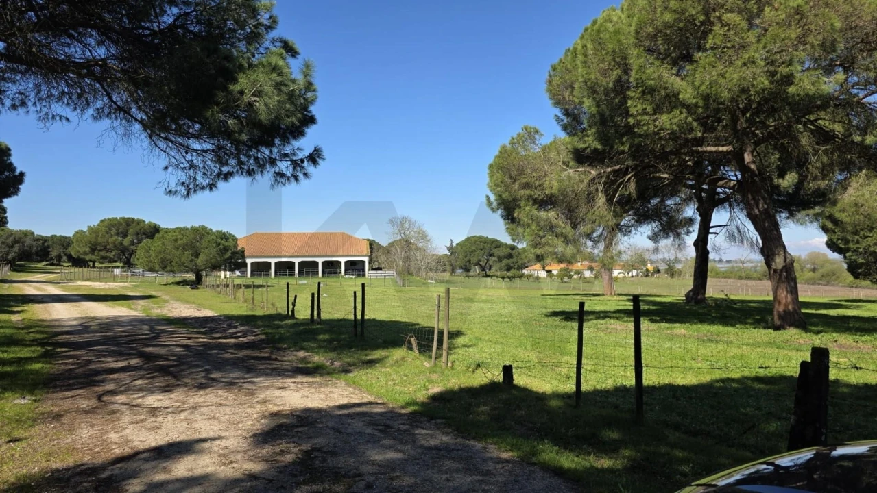 Quinta T4 para Venda em Benavente Foto 39