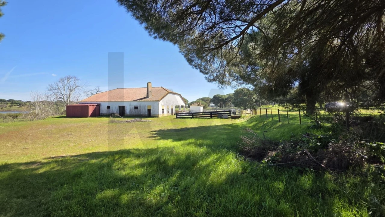 Quinta T4 para Venda em Benavente Foto 32