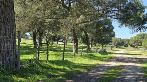 Quinta T4 para Venda em Benavente
