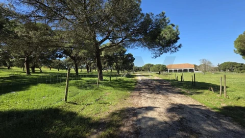 Quinta T4 para Venda em Benavente