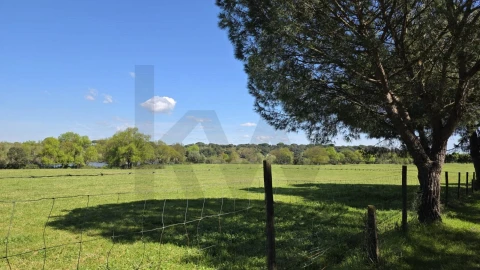 Quinta T4 para Venda em Benavente