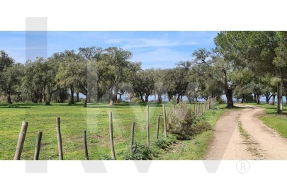 Quinta T4 para Venda em Benavente