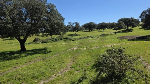 Quinta T4 para Venda em Benavente