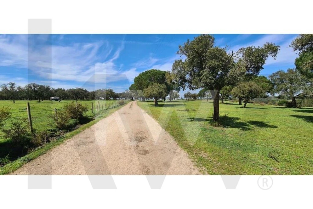 Quinta T4 para Venda em Benavente Foto 9