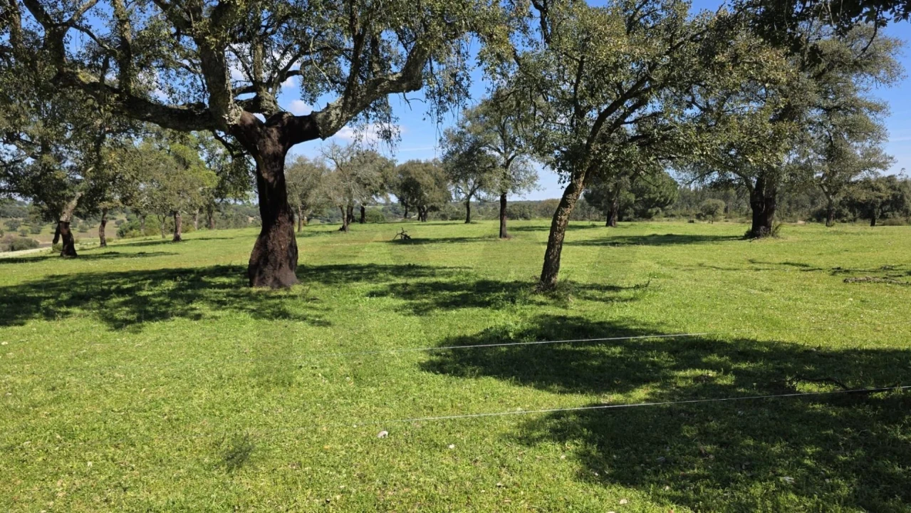 Quinta T4 para Venda em Benavente Foto 15