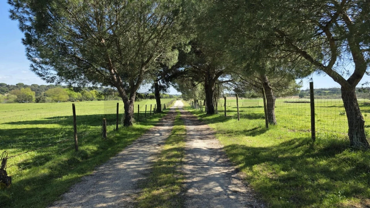 Quinta T4 para Venda em Benavente Foto 25