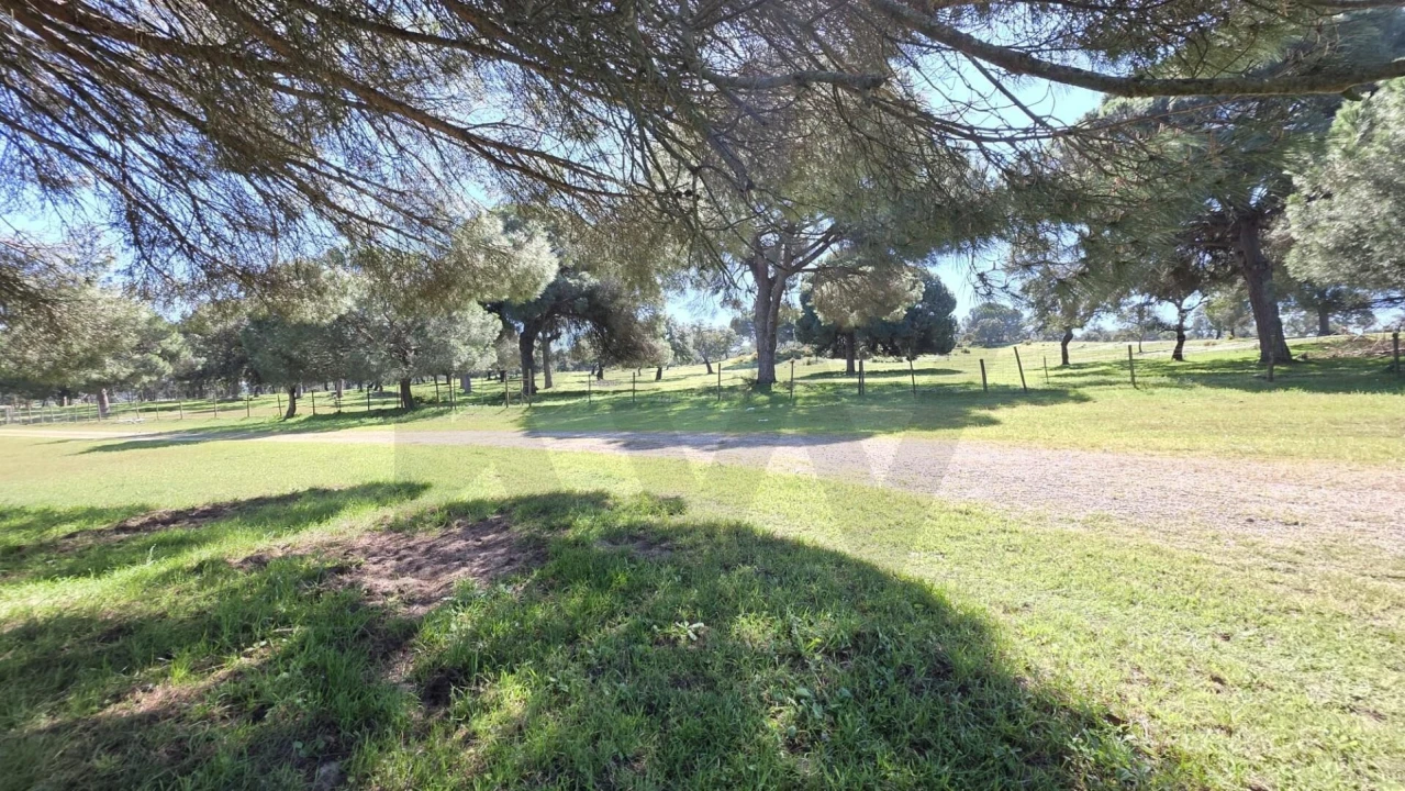 Quinta T4 para Venda em Benavente Foto 28