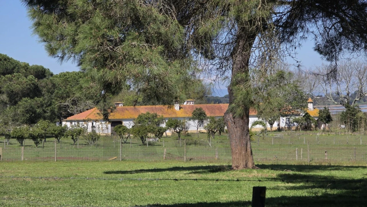 Quinta T4 para Venda em Benavente Foto 37