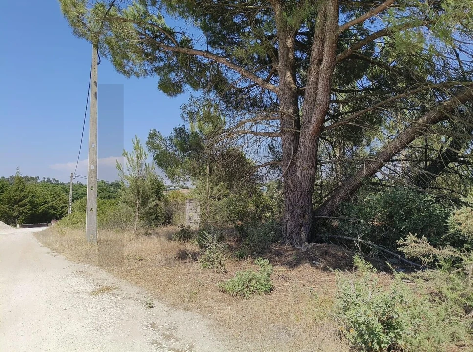 Terreno para Venda em Almoster Foto 7