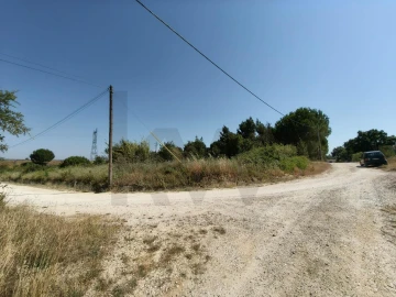 Terreno para Venda em Almoster