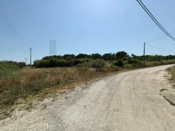 Terreno para Venda em Almoster