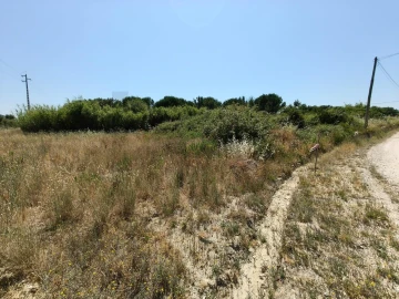 Terreno para Venda em Almoster