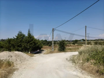 Terreno para Venda em Almoster