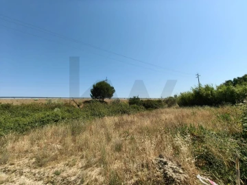 Terreno para Venda em Almoster