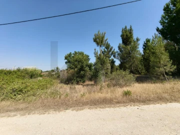 Terreno para Venda em Almoster