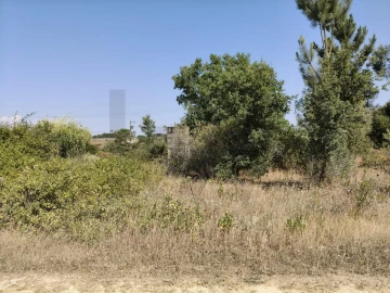 Terreno para Venda em Almoster