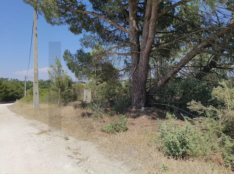 Terreno para Venda em Almoster Foto 2