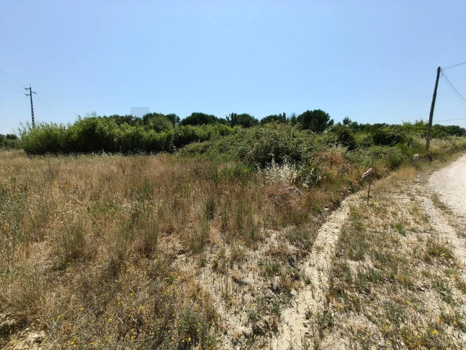 Terreno para Venda em Almoster Foto 18