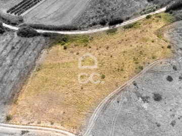 Terreno para Venda em Santa Maria, São Pedro e Matacães