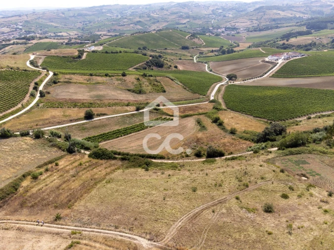 Terreno para Venda em Santa Maria, São Pedro e Matacães Foto 10