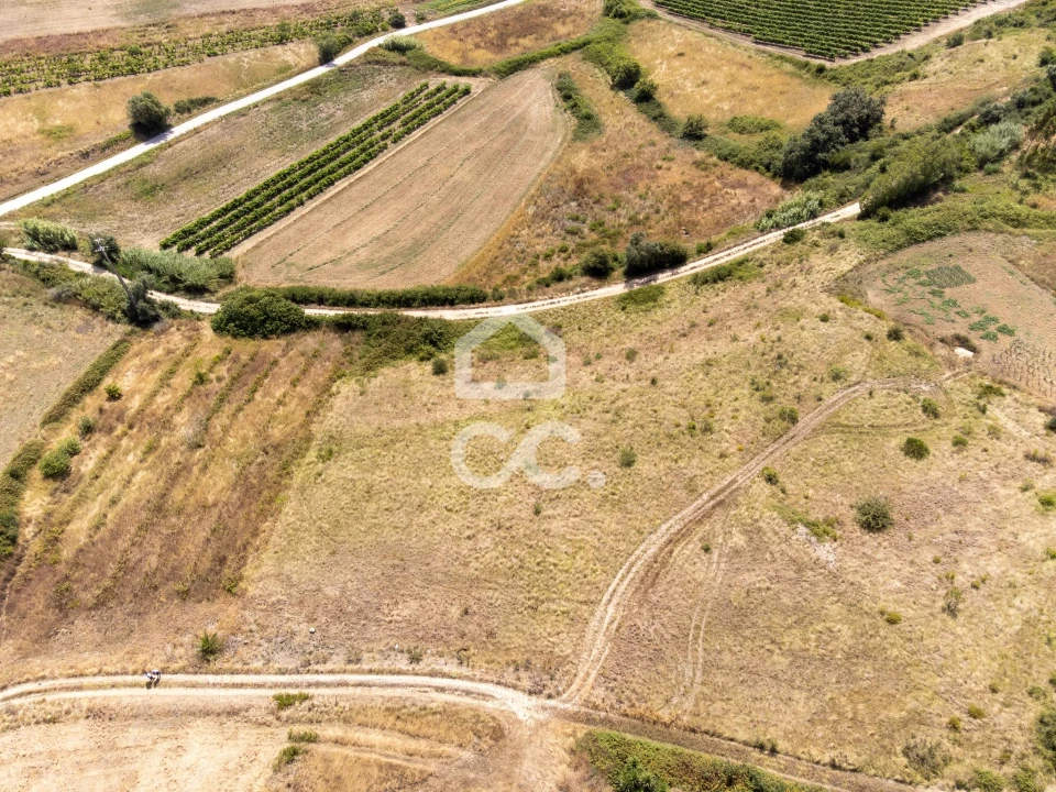 Terreno para Venda em Santa Maria, São Pedro e Matacães Foto 6