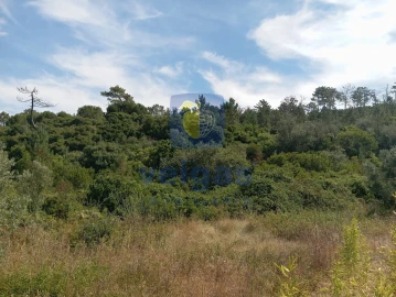 Terreno para Venda em Roliça