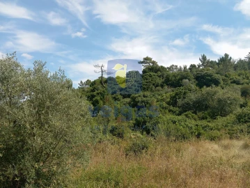 Terreno para Venda em Roliça