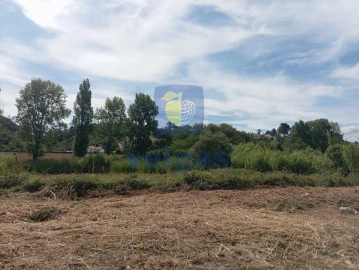 Terreno para Venda em Roliça