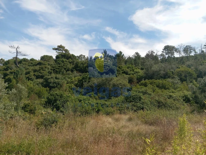 Terreno para Venda em Roliça Foto 5