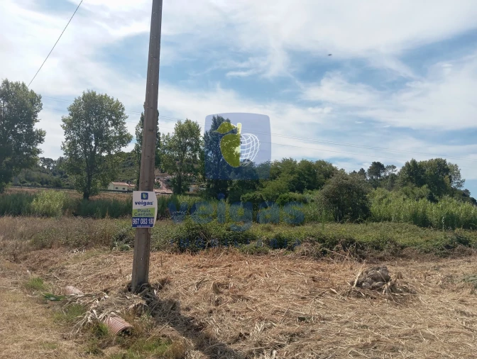 Terreno para Venda em Roliça Foto 2