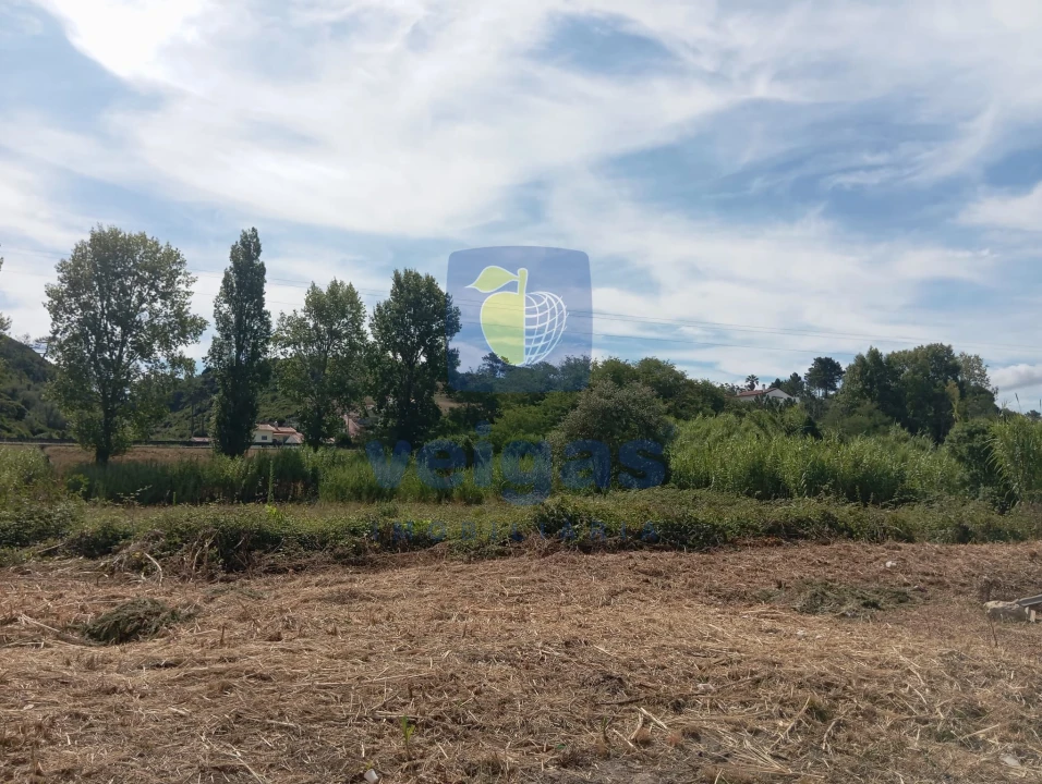 Terreno para Venda em Roliça Foto 4