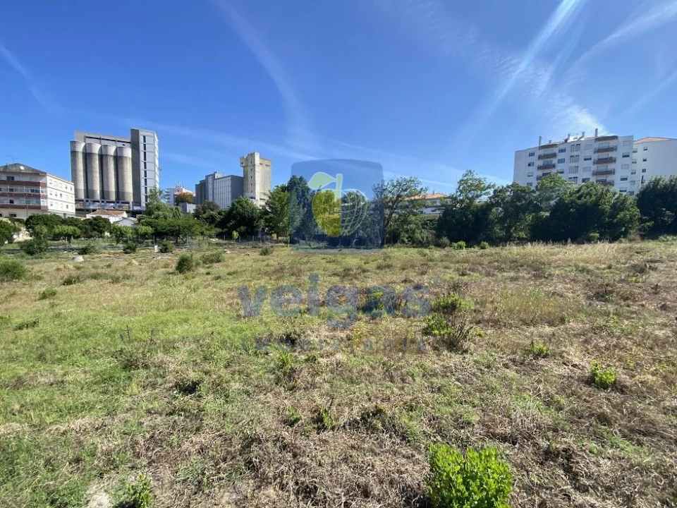Terreno para Venda em Caldas da Rainha - Santo Onofre e Serra do Bouro Foto 14