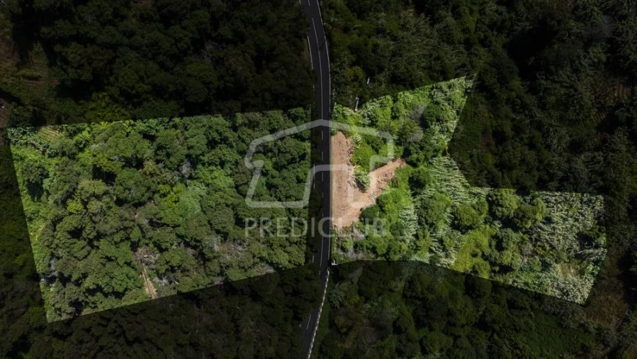 Terreno para Venda em Porto da Cruz Foto 2