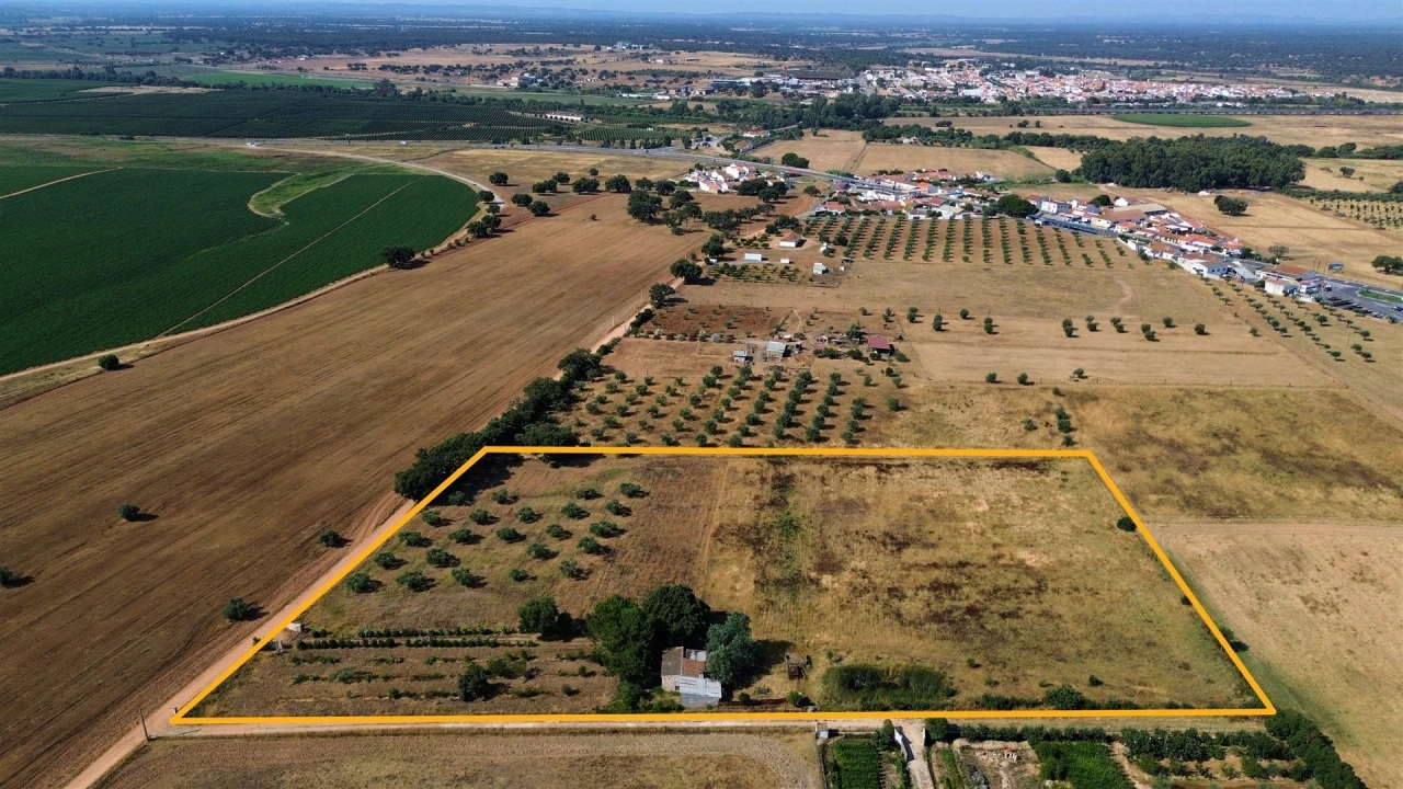 Terreno Agricola ou Rústico para Venda em Alvalade Foto 1