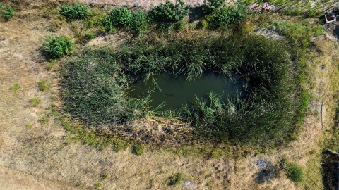 Terreno Agricola ou Rústico para Venda em Alvalade