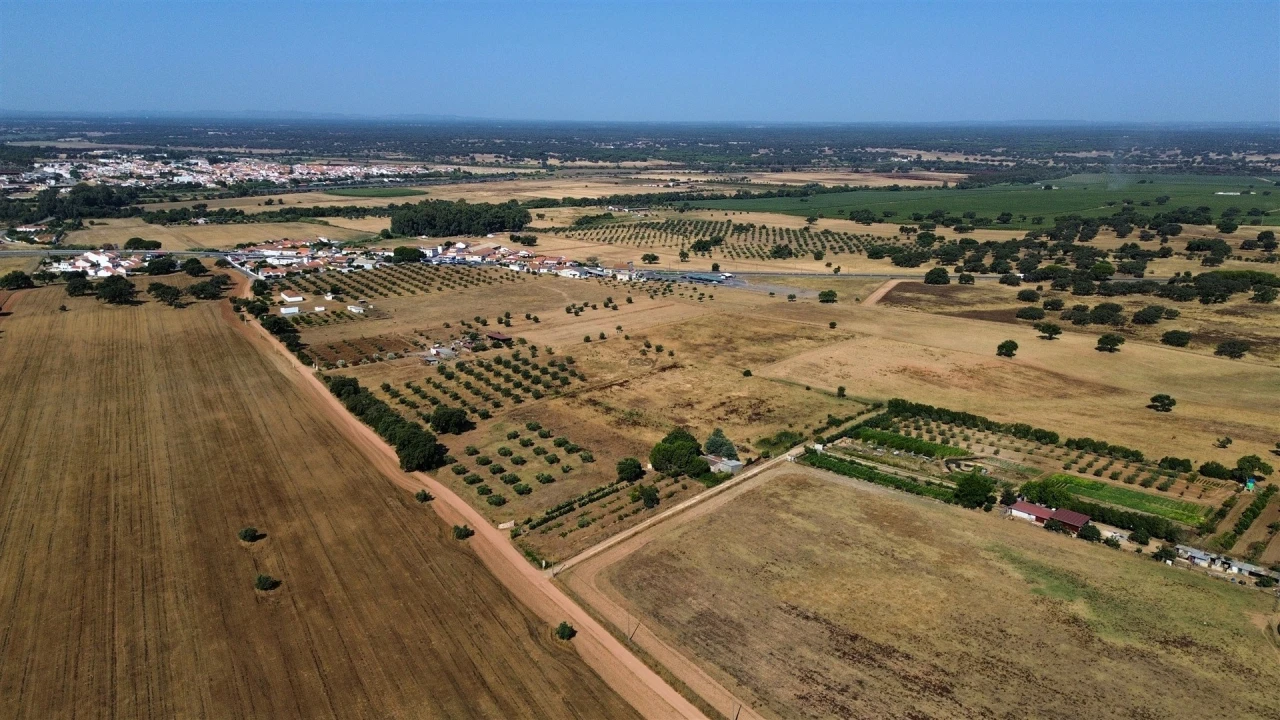 Terreno Agricola ou Rústico para Venda em Alvalade Foto 3