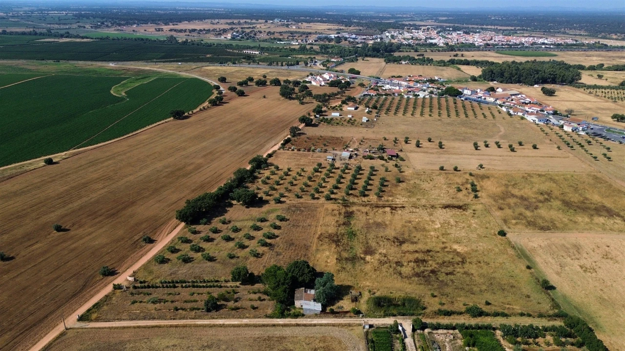 Terreno Agricola ou Rústico para Venda em Alvalade Foto 33