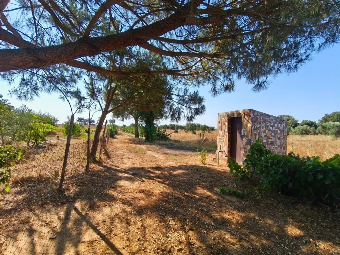 Terreno Agricola ou Rústico para Venda em Alvalade Foto 15