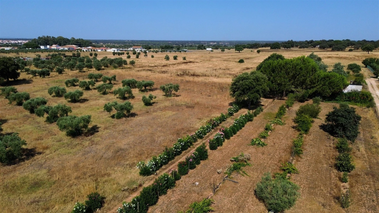 Terreno Agricola ou Rústico para Venda em Alvalade Foto 5