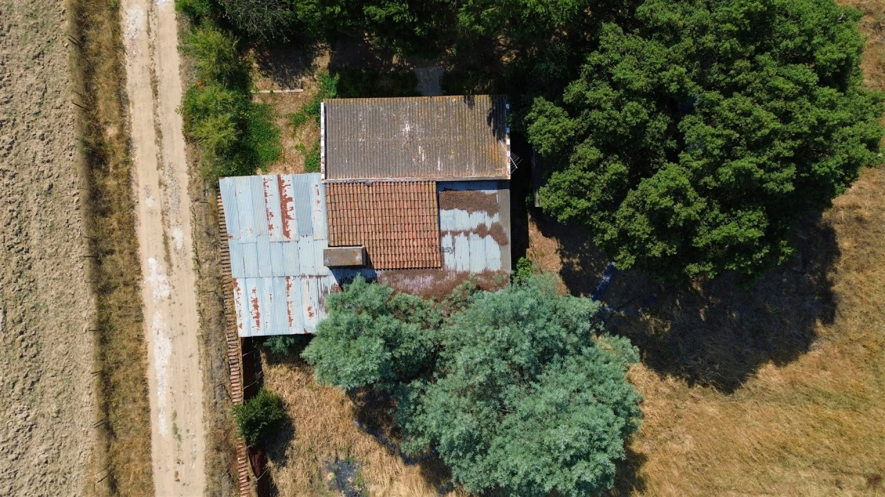 Terreno Agricola ou Rústico para Venda em Alvalade Foto 8