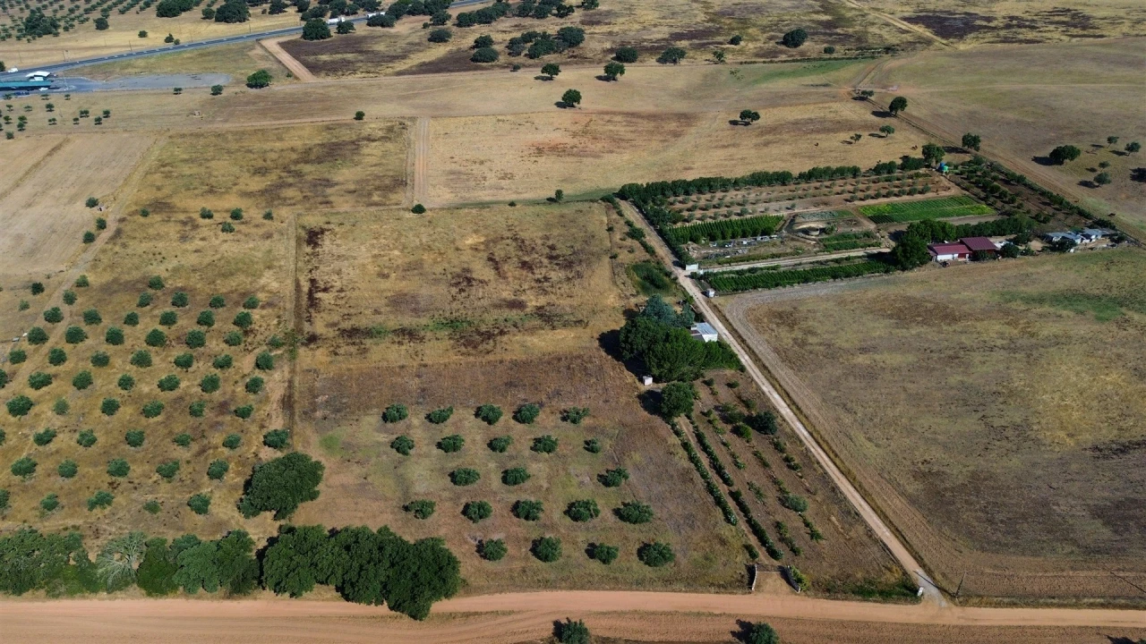 Terreno Agricola ou Rústico para Venda em Alvalade Foto 31