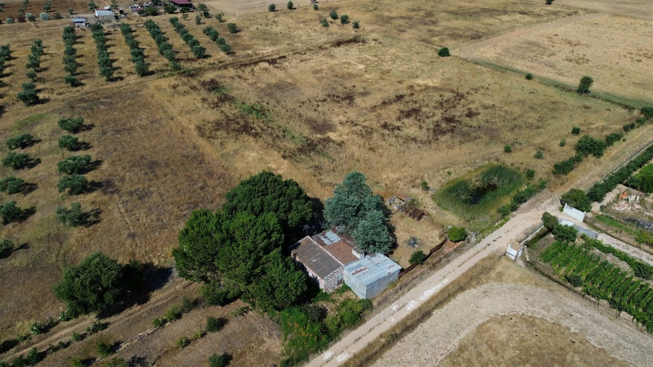 Terreno Agricola ou Rústico para Venda em Alvalade Foto 4