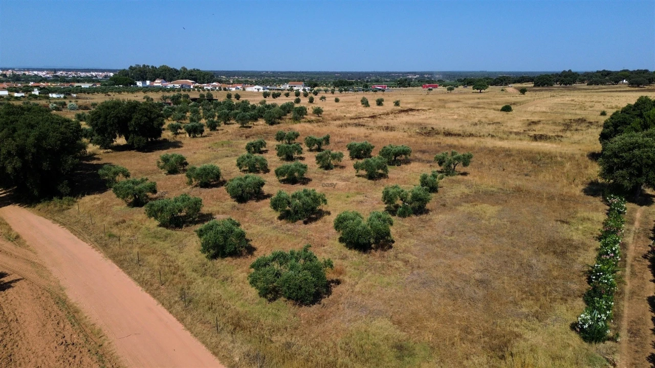 Terreno Agricola ou Rústico para Venda em Alvalade Foto 7